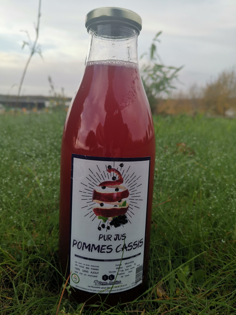 Jus De Pomme Cassis 2 Formats Vergers Des Roussieres Locavor Fr