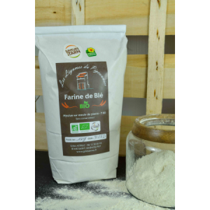 Farine de ble bio t80