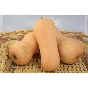 Butternut bio 1 kg