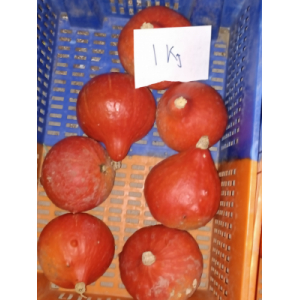 Potimarron  redcurry