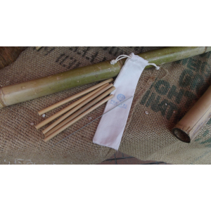 Pack 5 pailles bambou