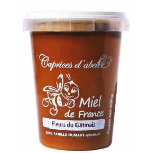 Miel de fleurs 500g