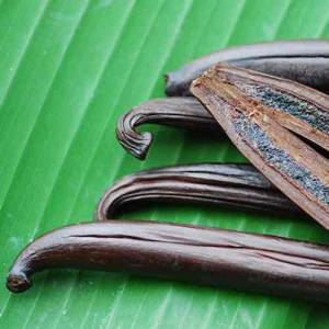 Bougie parfumée vanille