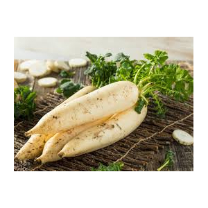Radis daïkon (cousin du radis noir)