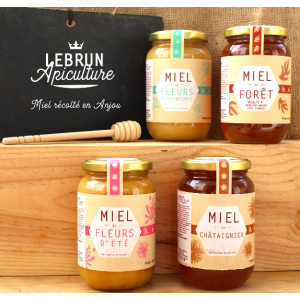 Assortiment de 4 miels