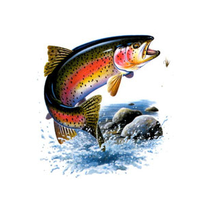 Filet truite saumonée amandes (1)