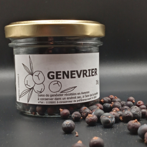 Genévrier
