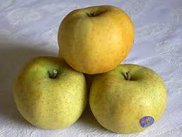 Pommes belchard chanteclerc