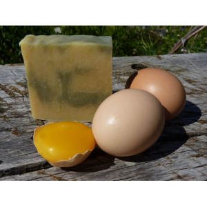 Shampoing des anciens