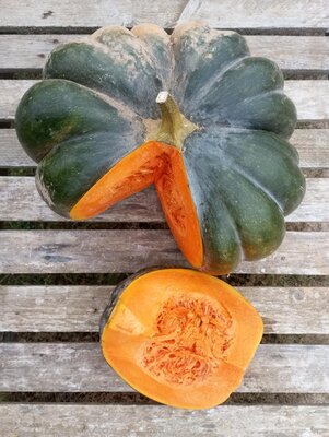 Courge musquée à la coupe