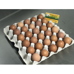 Oeufs x30 bio petit calibre