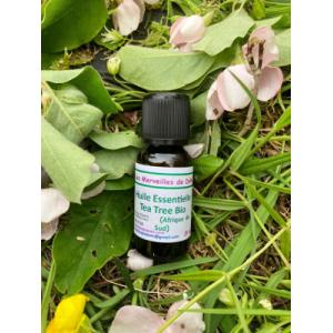 Huile essentielle tea tree bio