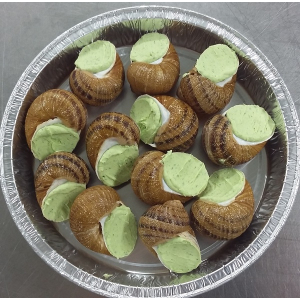 Escargots bourguignonne coquilles