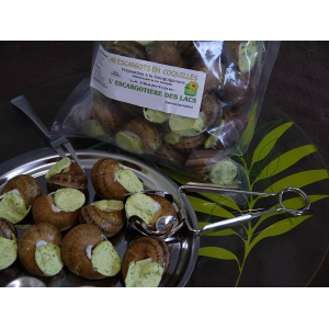 Escargots bourguignonne coquilles 4