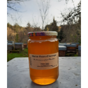 Miel de fleurs de montagne d'auvergne