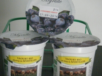 Yaourt biologique myrtille