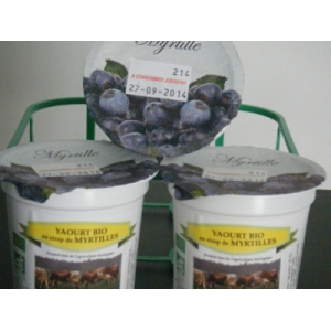 Yaourt biologique myrtille