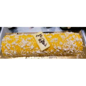 Bûche glacée aux sorbets mangue et coco