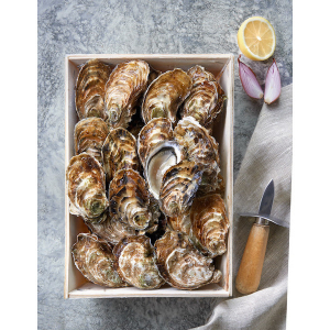 Huitres marenne oléron par 2 douz