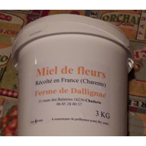 Miel de fleurs de printemps