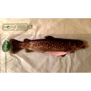 Truite fario : entière