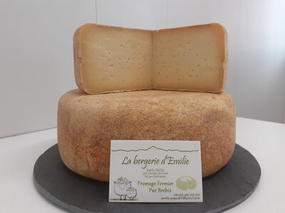 Tomme pur brebis