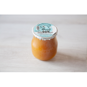 Coulis de fruits mangue 150g