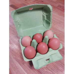 Oeufs bio x6 ''extra frais''