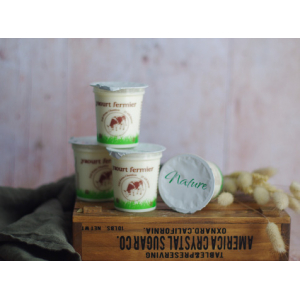 4 yaourts mangue passion