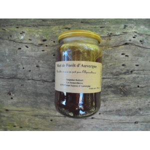 Miel de forêt d'auvergne