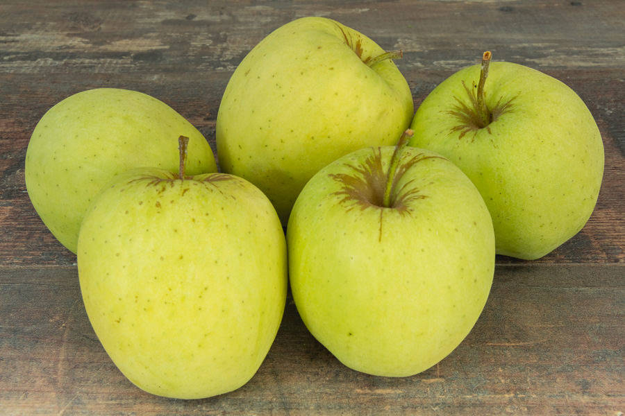 Pommes BIO GOLDRUSH des Vergers des Savoies, acidulées, croquantes, sucrées.