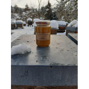 Miel de forêt d'auvergne crémeux