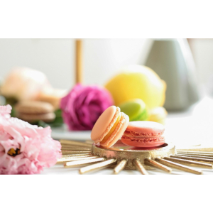 Pack découverte x12