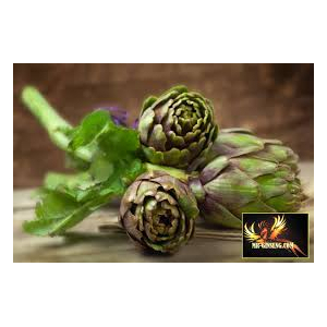 Artichaut 90 gélules