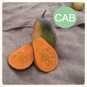 Courge sucrine du berry bio