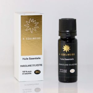 Marjolaine à coquilles bio