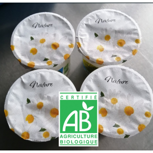 Yaourt nature x4