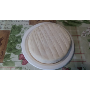 Fromage en début d'affinage - le chaillot