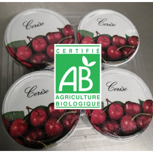 Yaourt cerise x4