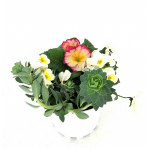 Collection athènes pot de 2l