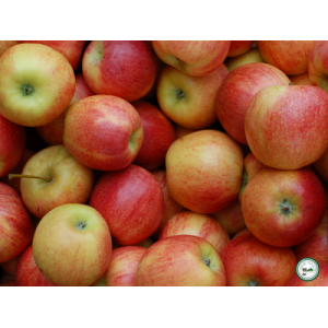 Pomme 'gala'