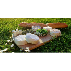 Fromage de chévre frais sel épicé