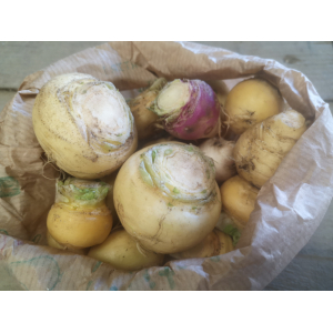 Petit navet de printemps