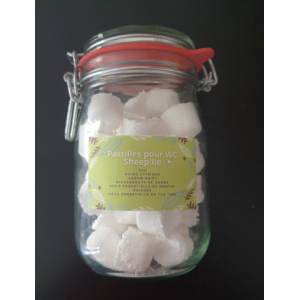 Pastilles nettoyantes pour les toilettes