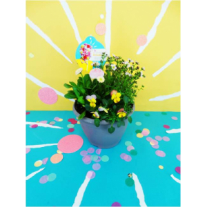 Collection printemps pétillant p03l