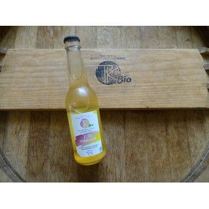 Jun kombucha bio