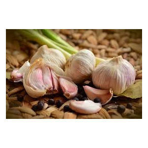 Semences ail flavor certifié