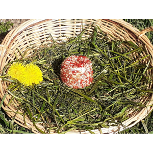 Fromage frais bruschetta