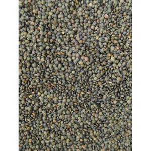 Lentilles vertes bio en vrac au kg