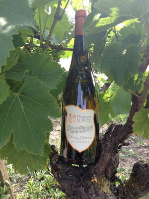 Coteaux d'ancenis malvoisie